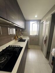 Rivertrees Residences (D28), Apartment #630174481